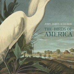 ⭐ PDF KINDLE  ❤ The Birds of America kindle