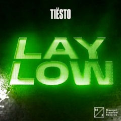 Tiësto - Lay Low (DJ ARQUIMENDEZ Festival Mix)