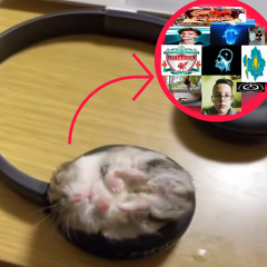 ЗАЛЕЗ НА ДЕРЕВО (prod. DJ ИЗВИЛИНА)