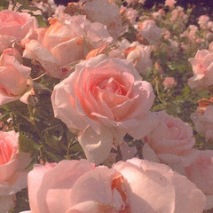 silk - giselle (slowed)