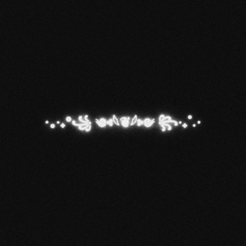 ⋆｡‧₊°꧁ ༺𓆩❦︎𓆪༻ ꧂‧₊˚.⋆