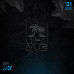 Arn - Juicy (Original Mix) [Miami Underground Records]