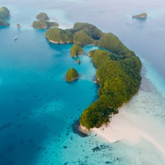 NICI NICE - Welcome to Palau - 2024