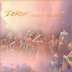 DERSU @ Mycelium 2024 - Friday at the Meadow