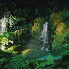 Dokumentation: Regenwald