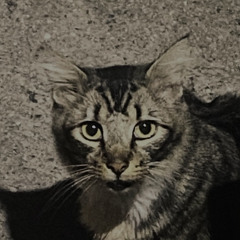 Satisfaction // slowed & reverb