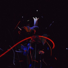 Heinali - Beatrice