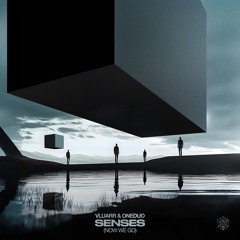 Vluarr, ONEDUO - Senses (Now We Go)