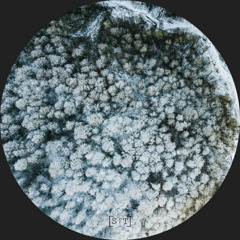 PREMIERE: Biocym - Narrow Slopes [Secuencias Temporeales]