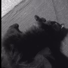 “BARELY BLINK’N” freestyle  (prod.three6lee)