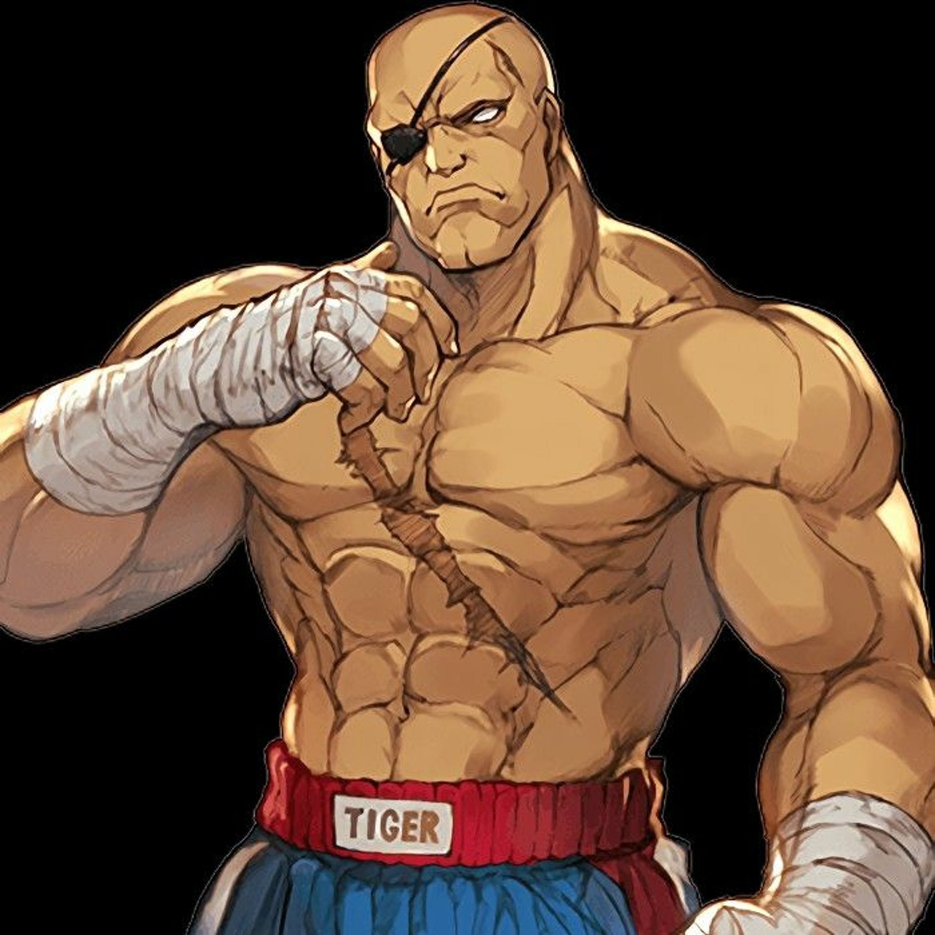 Street Fighter II | Theme of Sagat (Remix) | Cam3 episode artwork