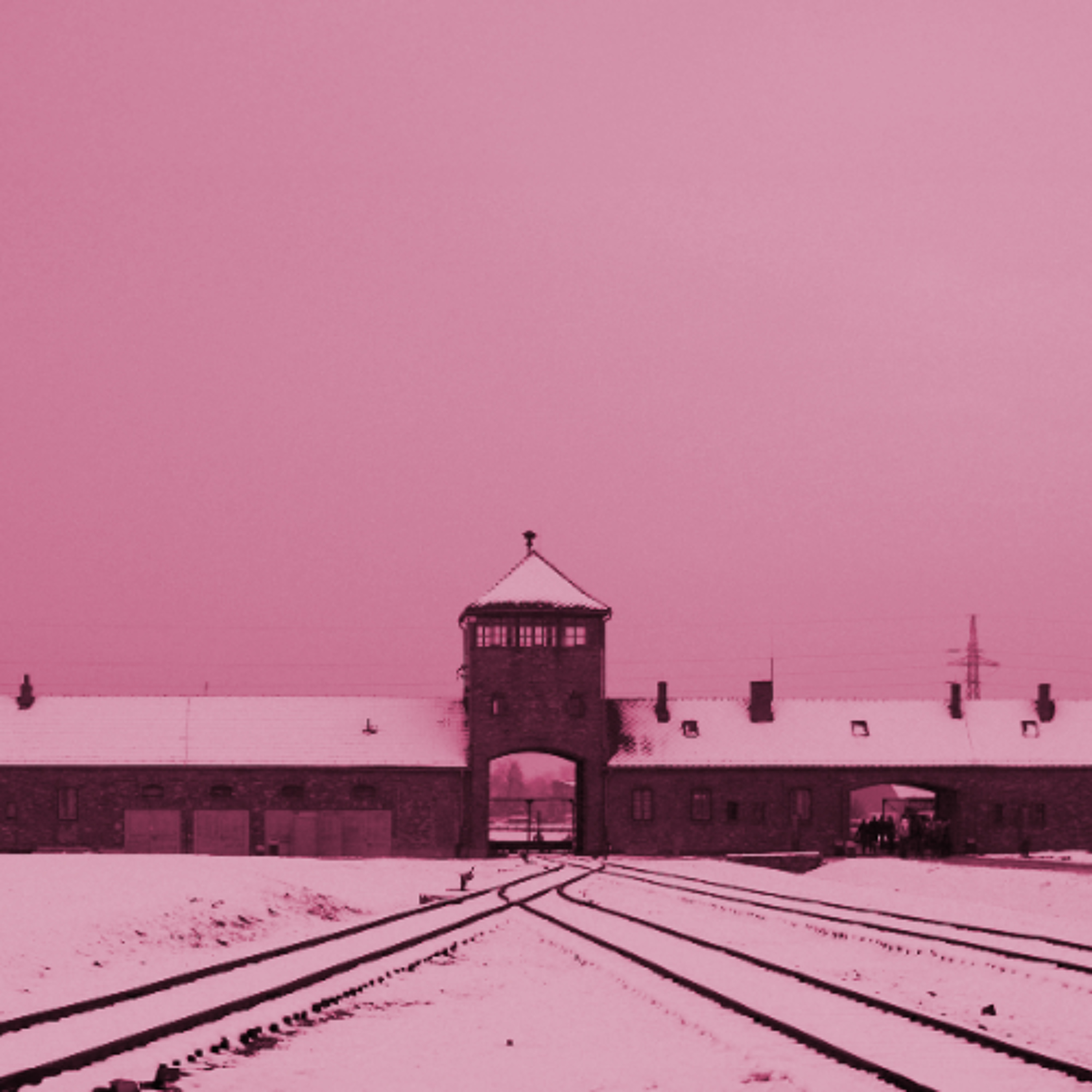 The Nazi Experiment, Vol. 16: What Hitler Got Right, Wrongly