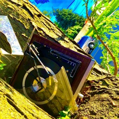 Master of Indecision