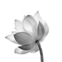 0232025