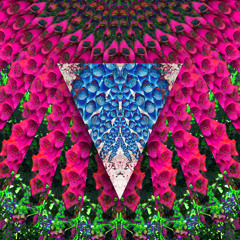 Dawn Of Truth (Fejká Remix)