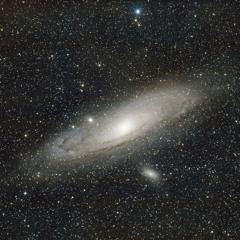 The 100th Star