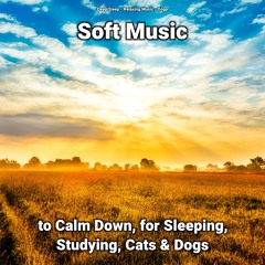 Beautiful Relaxing Music for Kids and Adults