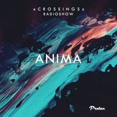 Crossing on Proton #030 - ANIMA