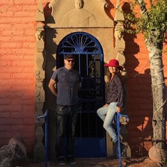 The Funky Vine  (All You Need Is Lead Glasses)