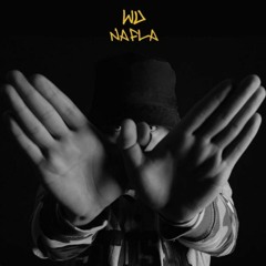 Wu(inst) - 나플라(nafla)(Prod. LYJ)