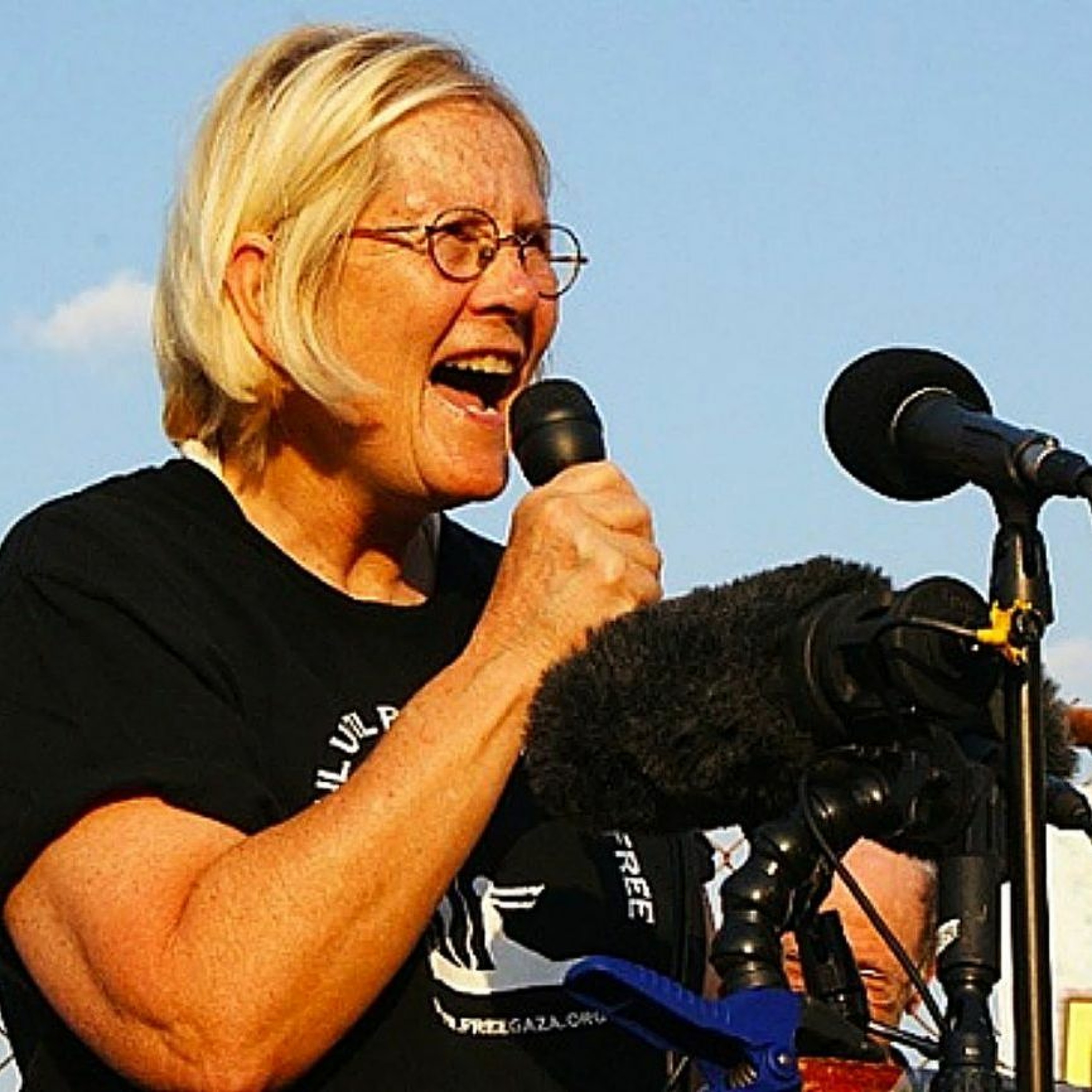 Talk Nation Radio: Ann Wright on Antiwar Activism episode artwork