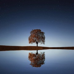 Calming Piano Music for Sleep, Anxiety, Stress Relief, and More