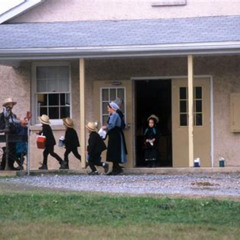 Review Special Price Full-Day Amish Country Tour In Lancaster County