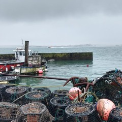 Fishing Port Ambience: The Camber, Cobh, Co. Cork