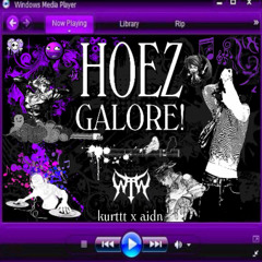 hoez galore! w/ aidn.