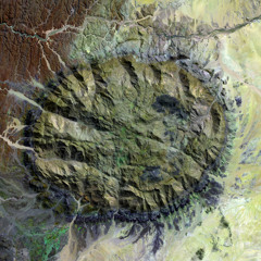 Study37