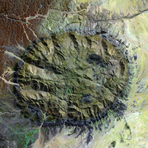 Study37