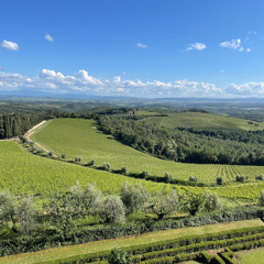 19（Prod.RJ Pasin）