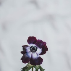 🧟