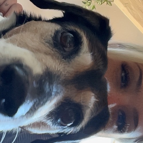 Hardgroove Homesesh ~cxrnucopia <3 #SET011