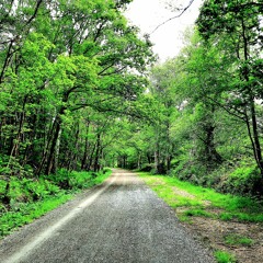 Old And New  Melodic Tech too house tech 120bpm - 138bpm  stay free  stay humble  stay blessed 🙌