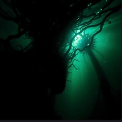 JPH - cage dive  2025-10-12 00_39.m4a