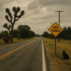 The odd things