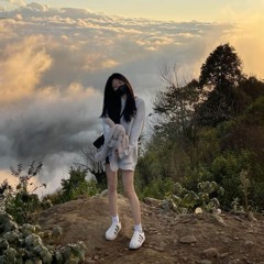 MASHUP NHƯ ANH ĐÃ THẤY EM (NAQ MUSIC GROUP REMIX)