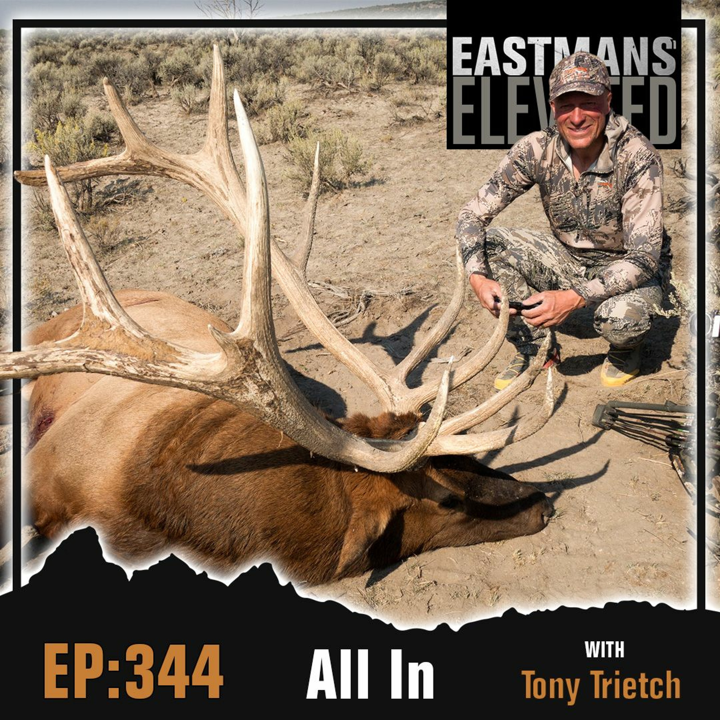 Episode 344: All In With Tony Trietch