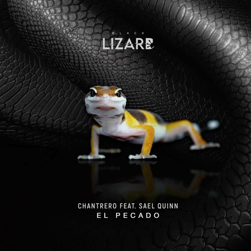 Chantrero Feat. Sael Quinn - El Pecado