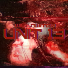 UNIT-13