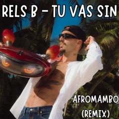 Rels B - Tu Vas Sin (AfroMambo Remix)
