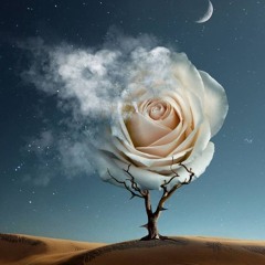 Lookin’ for the Rose of Desert - mixed by DJaNGO
