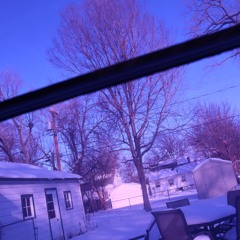 Arbre Violet