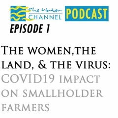 The women, the land, & the virus: COVID19 impact on smallholder farmers