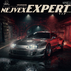 EXPERT VIP