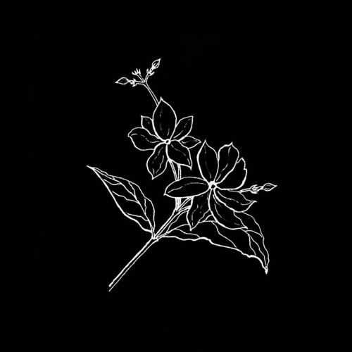 doa phu dung cuoi cung - thanh hung tiktok cut version