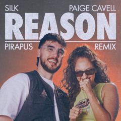 Reason (Pirapus Remix)