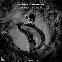 MR BLACK & Offer Nissim - Mucho Bien (ZARTA Remix)