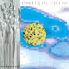 Sleep D - Big Sky, Liquid Sun (BSR045)
